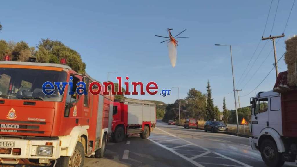 Εύβοια: Οριοθετήθηκε η φωτιά στον Αλμυροπόταμο