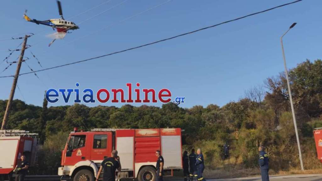Εύβοια: Οριοθετήθηκε η φωτιά στον Αλμυροπόταμο