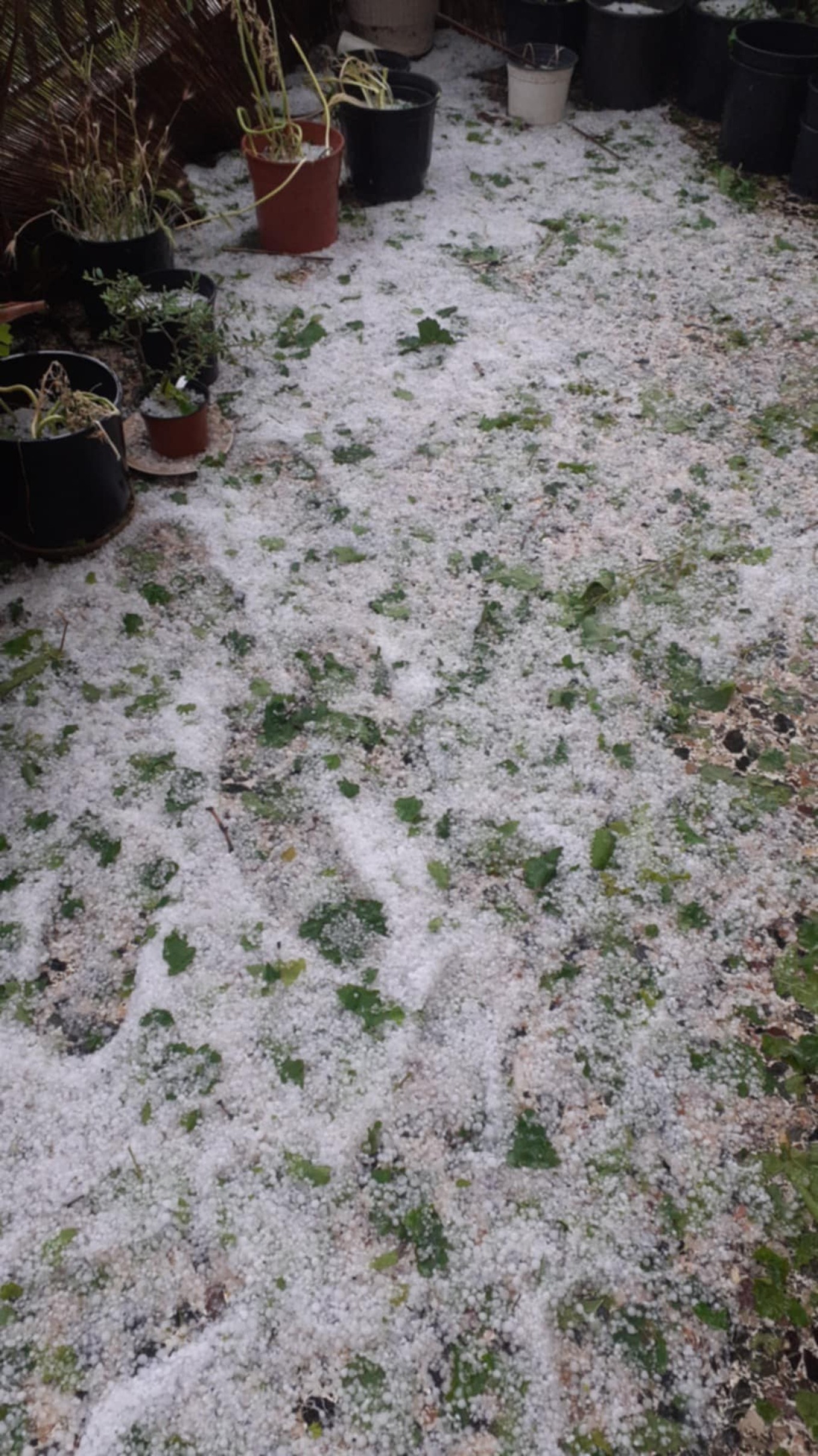 Ισχυρή χαλαζόπτωση στη Λακωνία