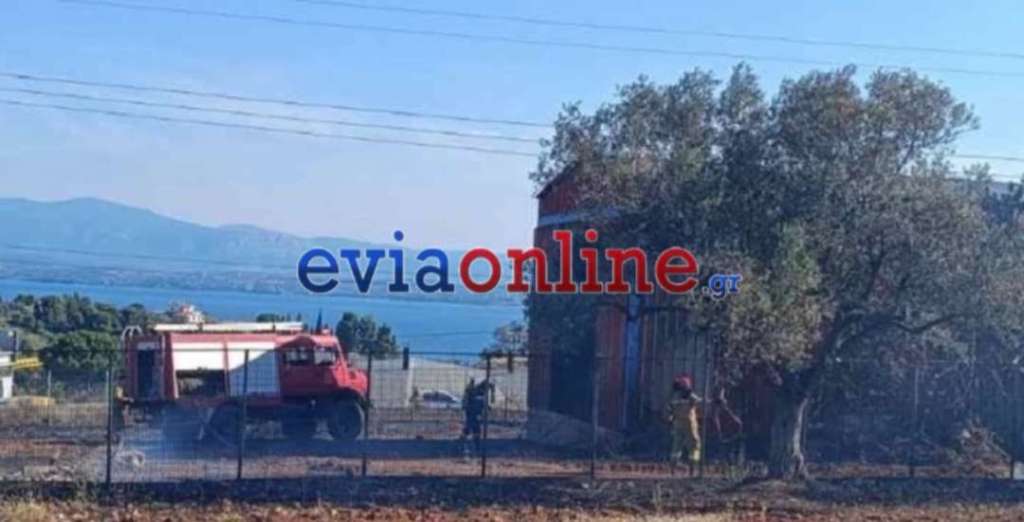 Εύβοια: Φωτιά στο Βασιλικό 
