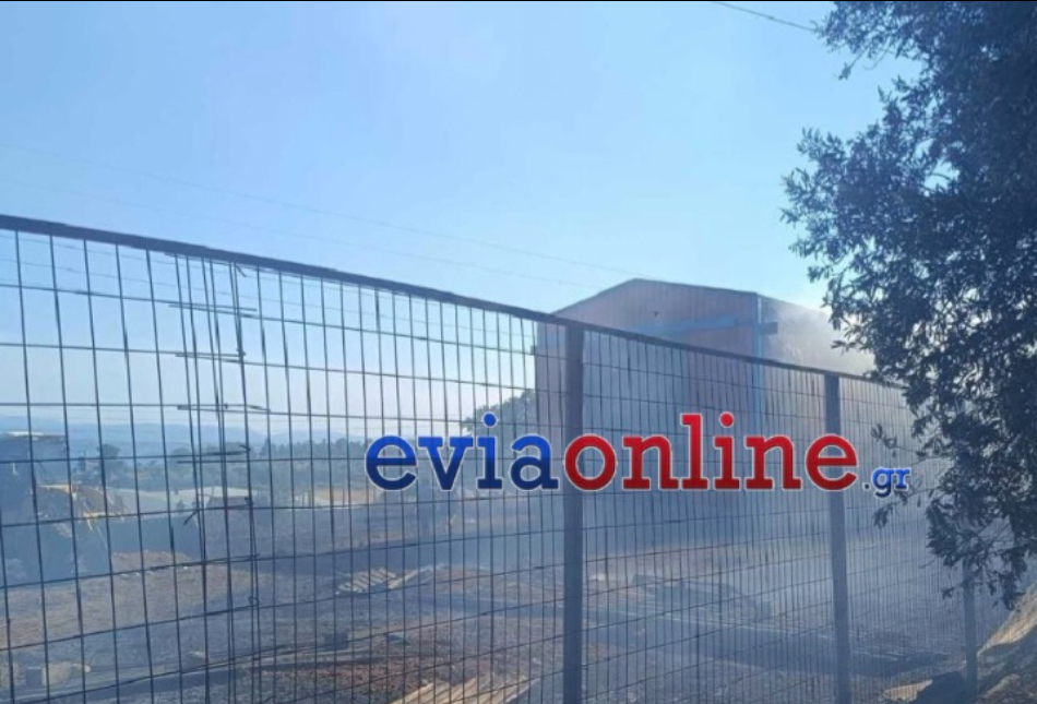 Εύβοια: Φωτιά στο Βασιλικό 