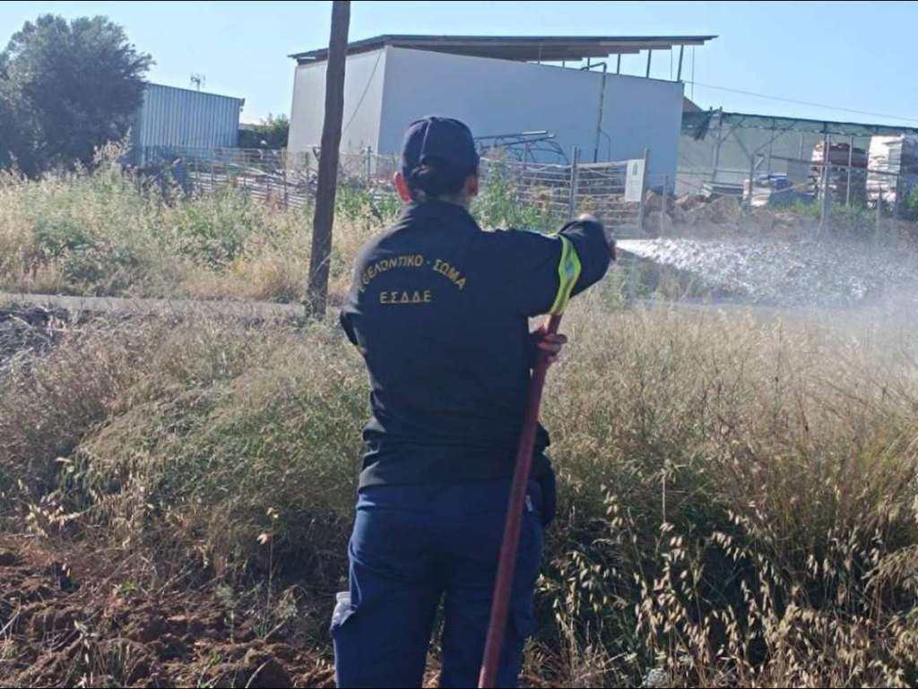 Εύβοια: Φωτιά στο Βασιλικό 