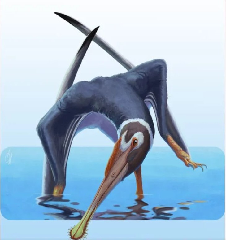 Ανακαλύφθηκε άγνωστο είδος πτερόσαυρου