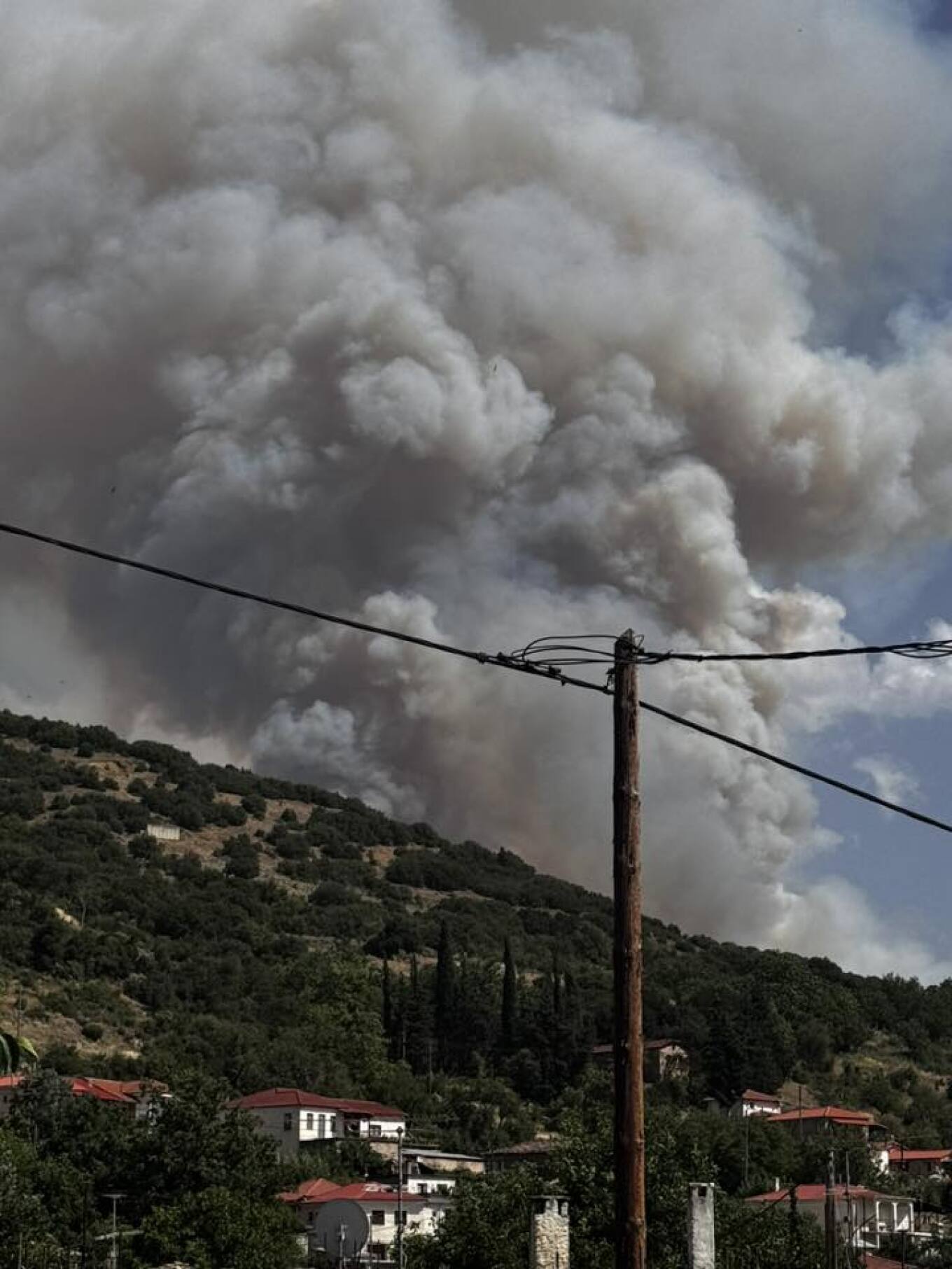 Κορινθία: Φωτιά σε δασική έκταση στoν Φενεό