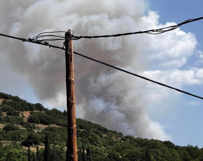 Κορινθία: Φωτιά σε δασική έκταση στoν Φενεό