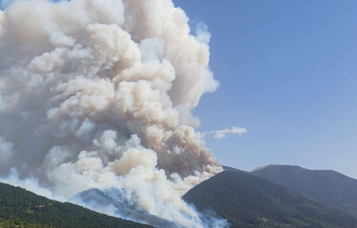 Κορινθία: Φωτιά σε δασική έκταση στoν Φενεό