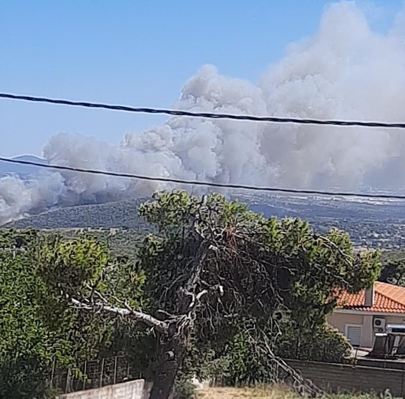 Φωτιά στη Λεωφόρο Μαραθώνος στη Ραφήνα