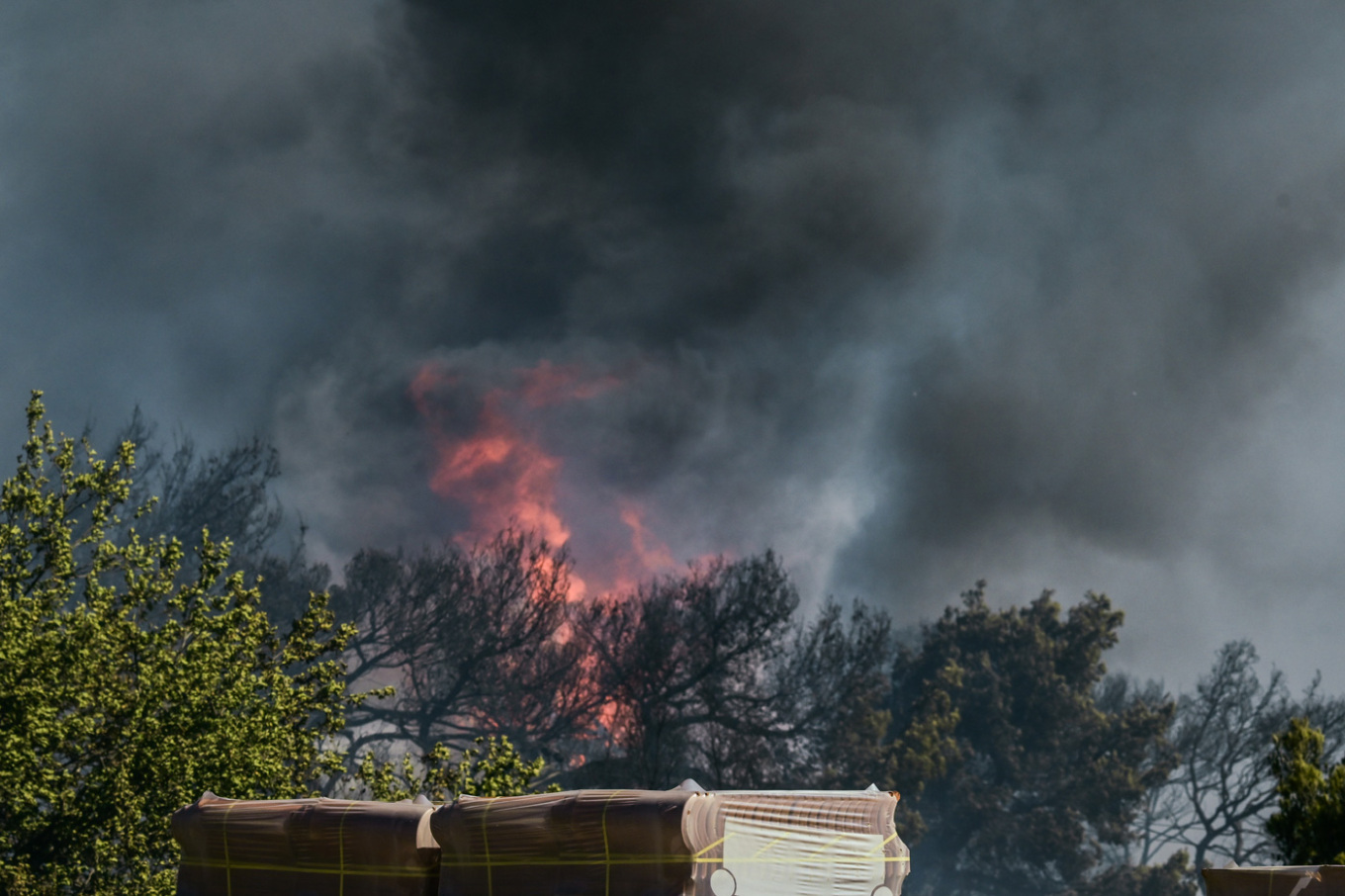 Φωτιά στη Ραφήνα