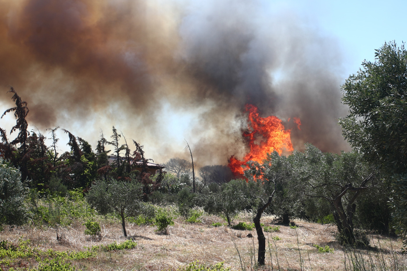 Η ΕΛΑΣ έχει προχωρήσει σε απεγκλωβισμούς 9 ατόμων Σε εξέλιξη βρίσκεται, με τη συνδρομή της Αστυνομίας, η εκκένωση τεσσάρων οικισμών στην περιοχή που μαίνεται η πυρκαγιά προκειμένου να μην εγκλωβιστούν κάτοικοι και κινδυνεύσουν ανθρώπινες ζωές, σύμφωνα την τελευταία ενημέρωση από την ΕΛΑΣ.  Ειδικότερα, όπως έγινε γνωστό, από αστυνομικούς που βρίσκονται στον τόπο της πυρκαγιάς για να συνδράμουν στην απομάκρυνση των κατοίκων, απεγκλωβίστηκαν νωρίτερα από την ευρύτερη περιοχή της Ραφήνας και του Πικερμίου, εννέ