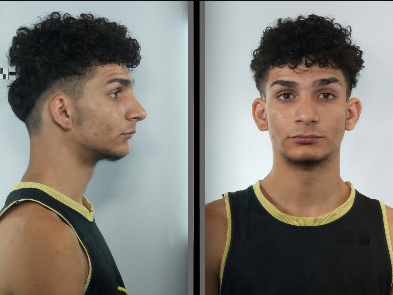 Στη δημοσιότητα δόθηκαν τα στοιχεία ταυτότητας και οι φωτογραφίες των δύο ατόμων που συνελήφθησαν στις 2 και 3 Ιουλίου, οι οποίοι κατηγορούνται για τον βιασμό της 14χρονης στον Πειραιά, αλλά και για συνέργεια στην εν λόγω πράξη.  Στην υπόθεση κατηγορούνται άλλοι δύο, που επίσης συνελήφθησαν, ωστόσο είναι ανήλικοι.  Τα στοιχεία των κατηγορούμενων δόθηκαν στη δημοσιότητα  έπειτα από σχετική Διάταξης της Εισαγγελίας Πρωτοδικών Πειραιά. Πρόκειται για τους κάτωθι συλληφθέντες: - ΝΤΑΛΙΠΗ (επ.) Εφραίμ (ον.) του Λο