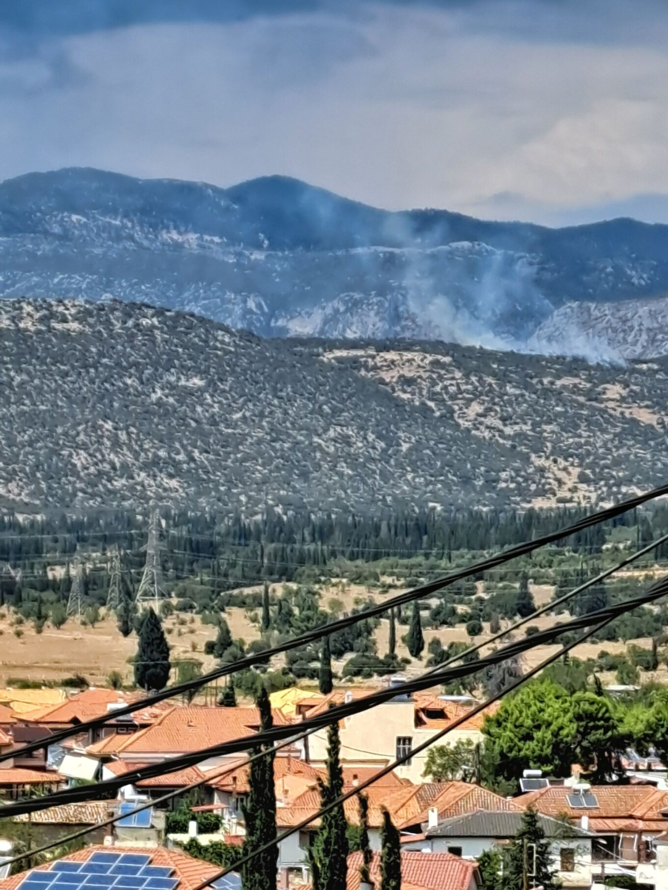 Φωκίδα: Φωτιά σε δάσος στο Καλό Πηγάδι