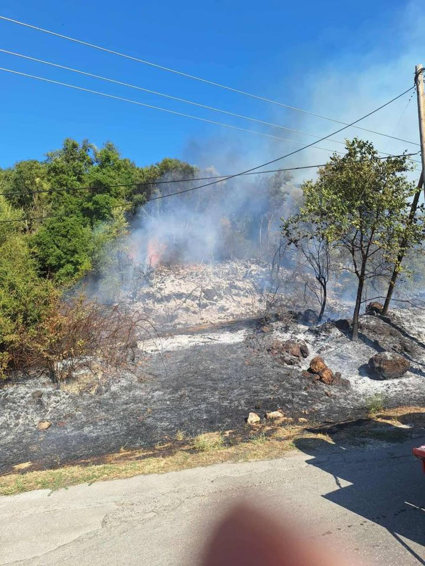 Θεσπρωτία: Φωτιά στο Ράγιο Φιλιατών