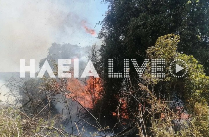 Ηλεία: Φωτιά στην περιοχή Πηγάδι