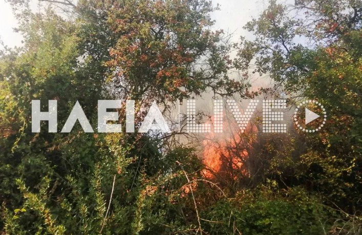 Ηλεία: Φωτιά στην περιοχή Πηγάδι