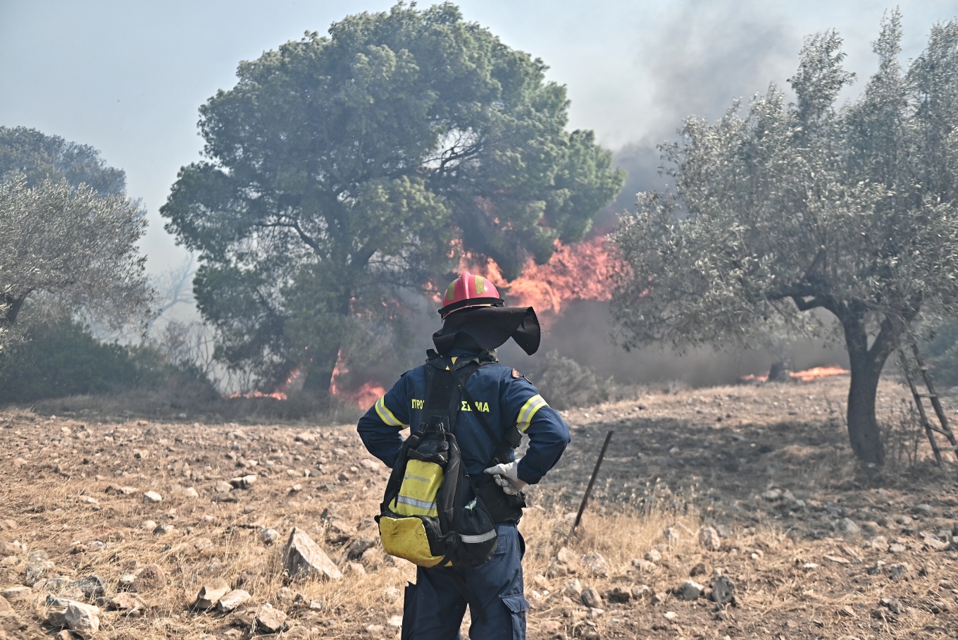 φωτιά στην Κερατέα 