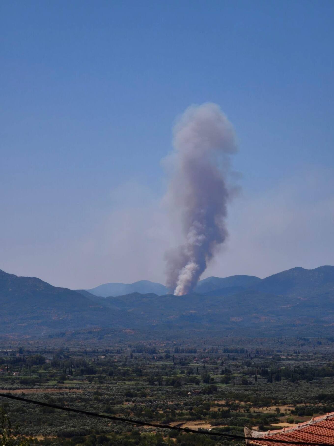Φωτιά στα Πετράλωνα Μεσσηνίας