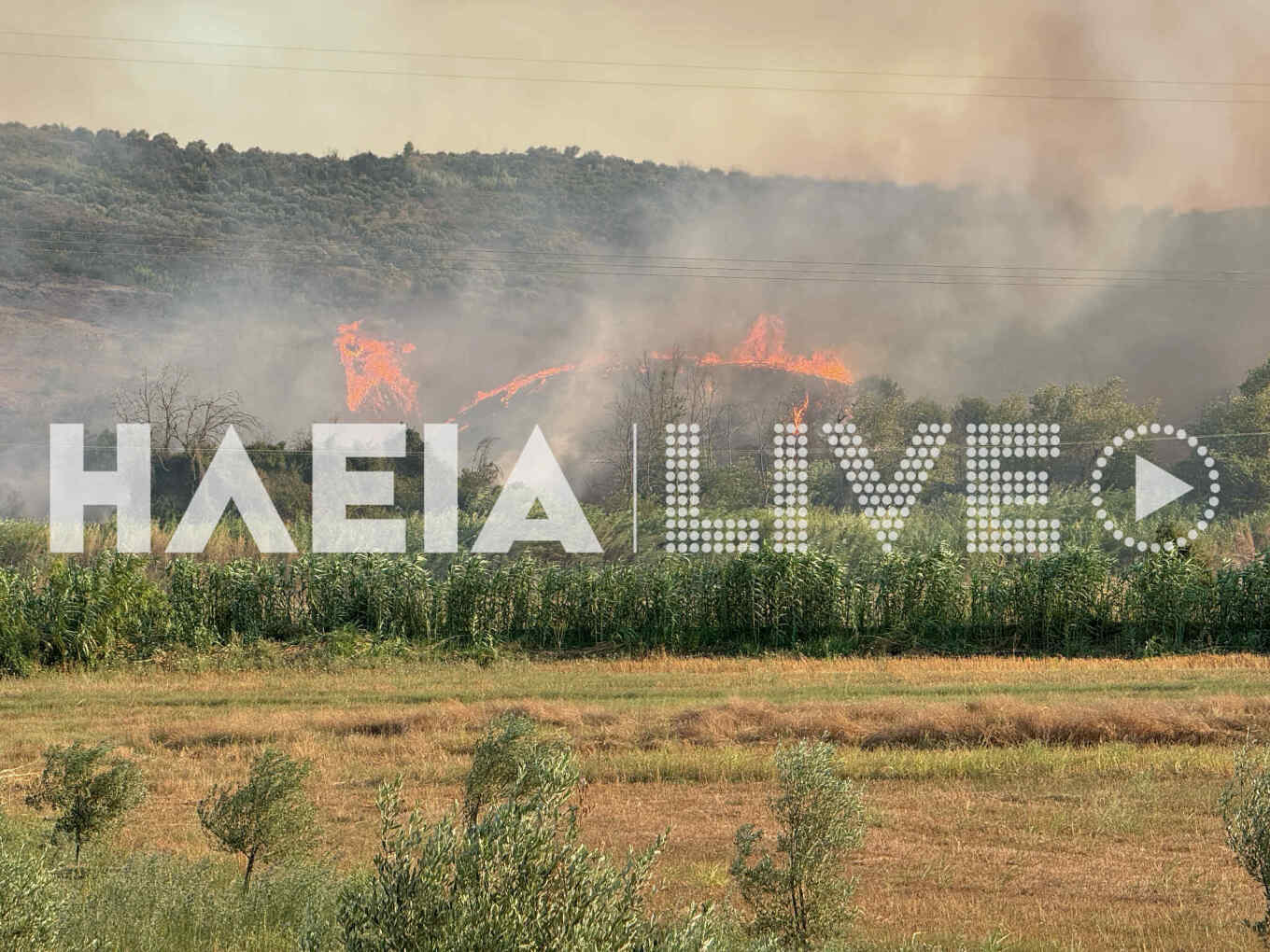 φωτιά Ολυμπία 