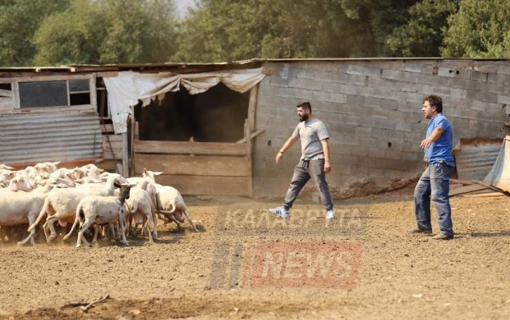 Καλάβρυτα: Καλύτερη η εικόνα της φωτιάς στην Αροανία
