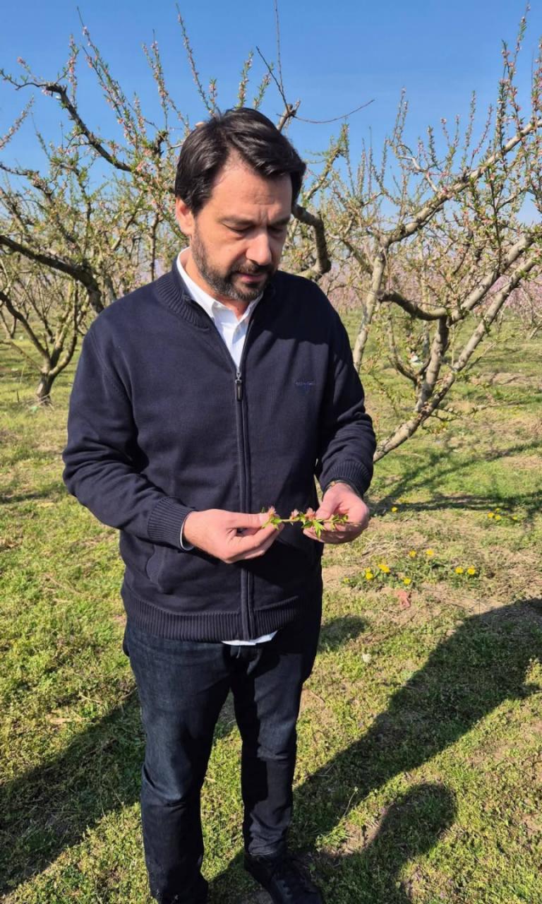 Μπαρτζώκας