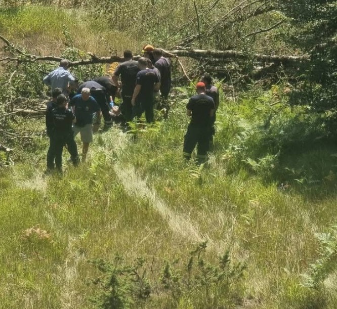 Ιωάννινα: Κορμός δέντρου καταπλάκωσε ξυλοκόπο στη Χρυσοβίτσα