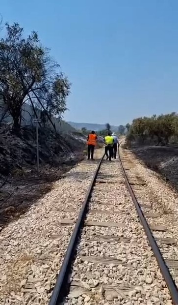 Φωτιά στην Αχαΐα: Ζημιές στο δίκτυο του ΟΣΕ