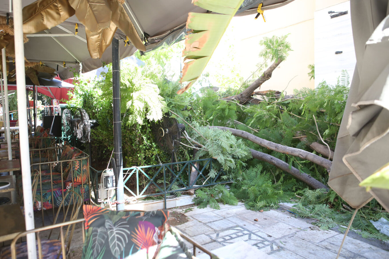 Έπεσε δέντρο στο κέντρο της Αθήνας