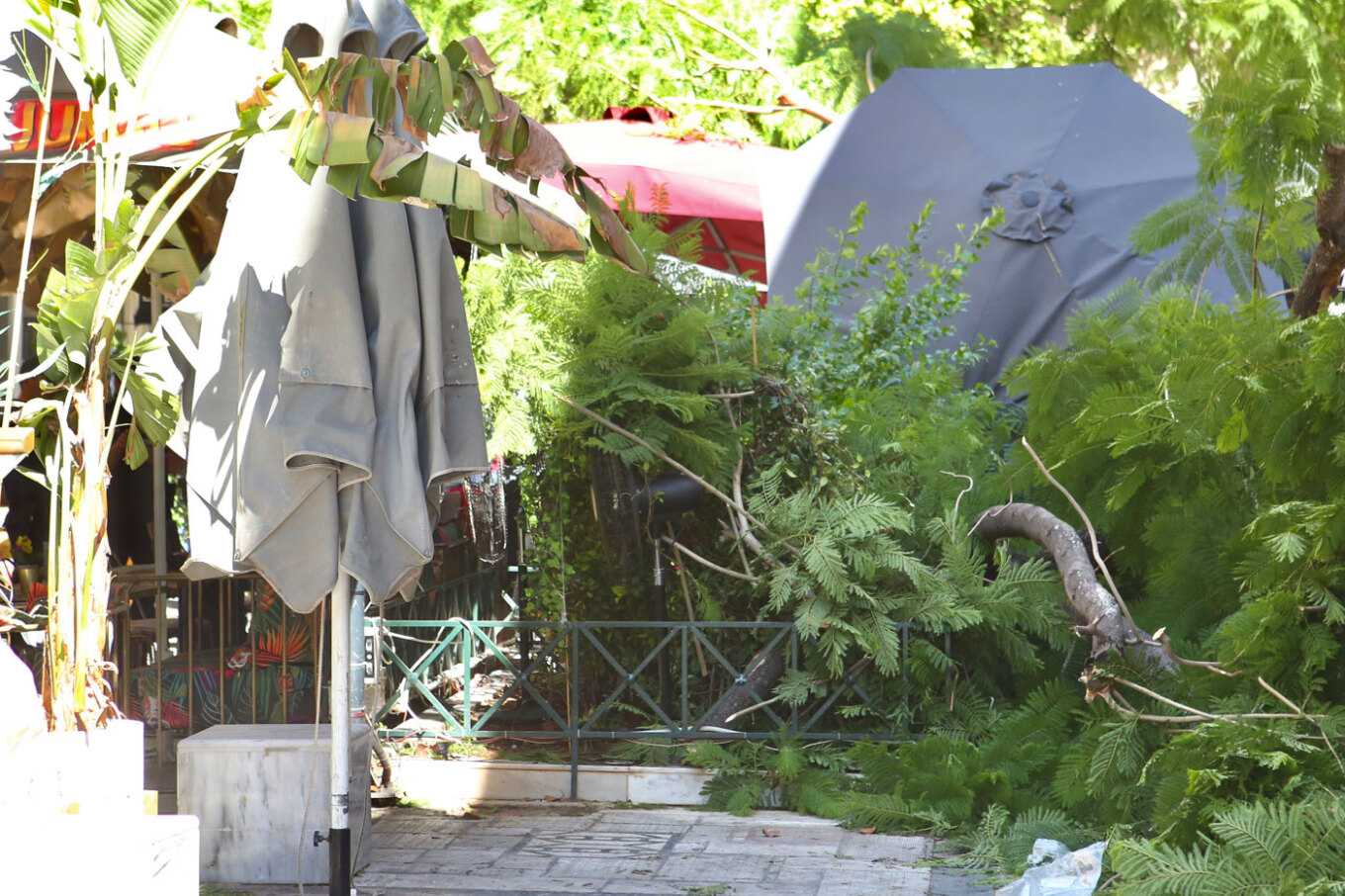 Έπεσε δέντρο στο κέντρο της Αθήνας