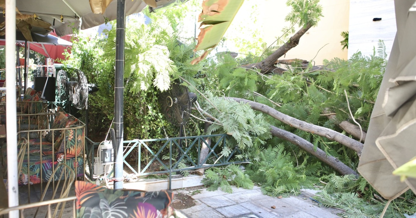 Έπεσε δέντρο στο κέντρο της Αθήνας