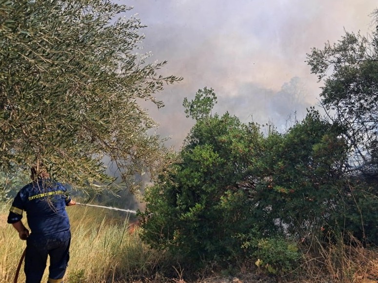 Φωτιά στην Αχαΐα