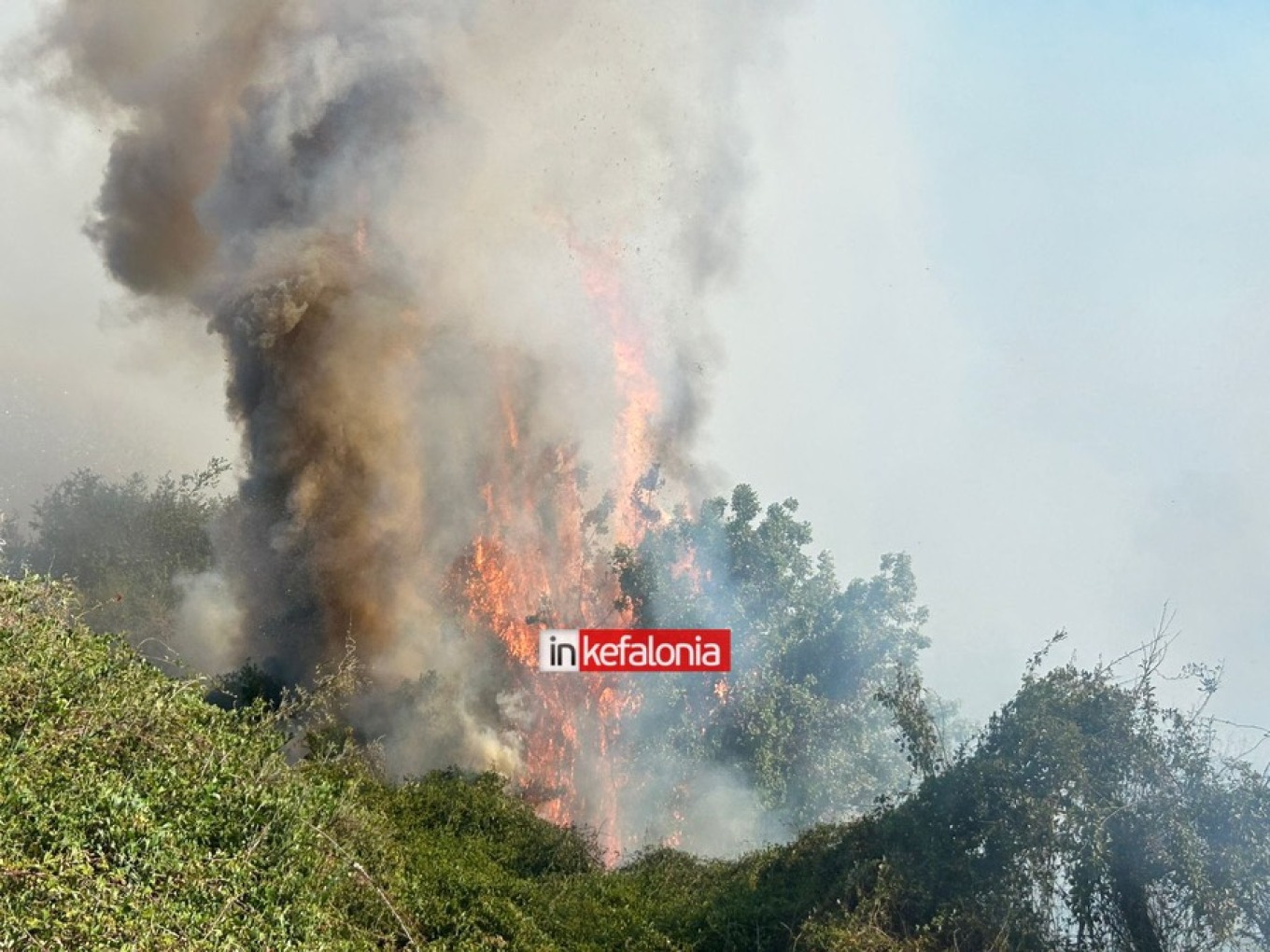φωτιά στην Κεφαλονιά 