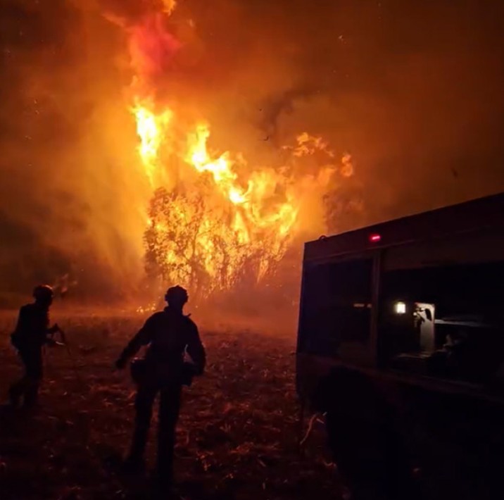 Μεγάλη φωτιά στα Λεχαινά Ηλείας