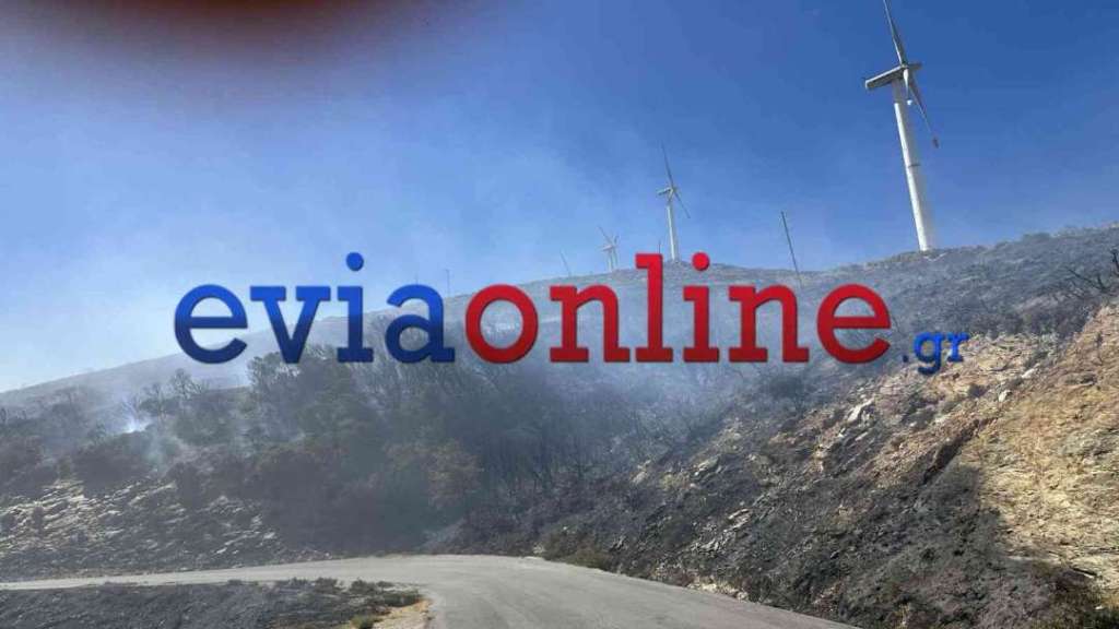 Εύβοια: Καλύτερη η εικόνα της φωτιάς στην Κάρυστο