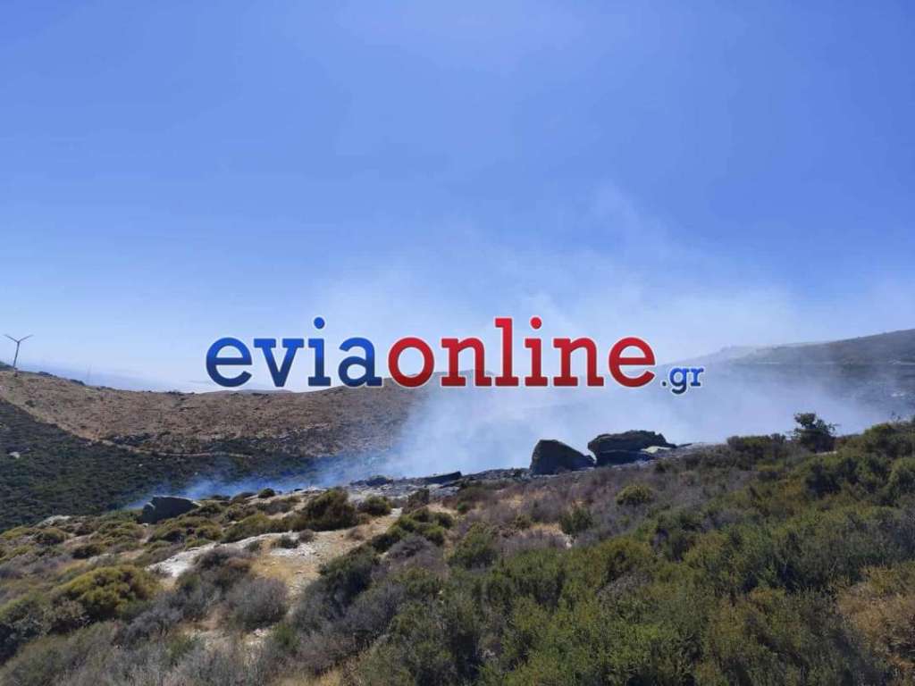 Εύβοια: Καλύτερη η εικόνα της φωτιάς στην Κάρυστο