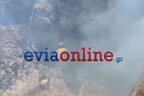 Φωτιά στην Εύβοια