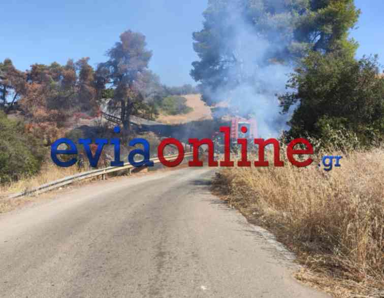 Φωτιά στην Εύβοια