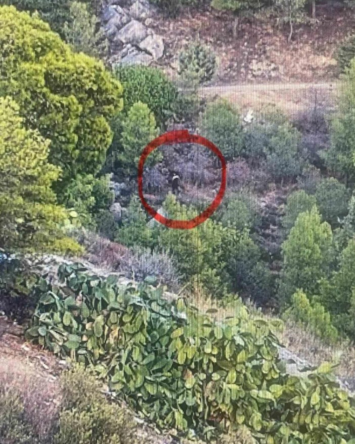 εμπρησμό στον Υμηττό