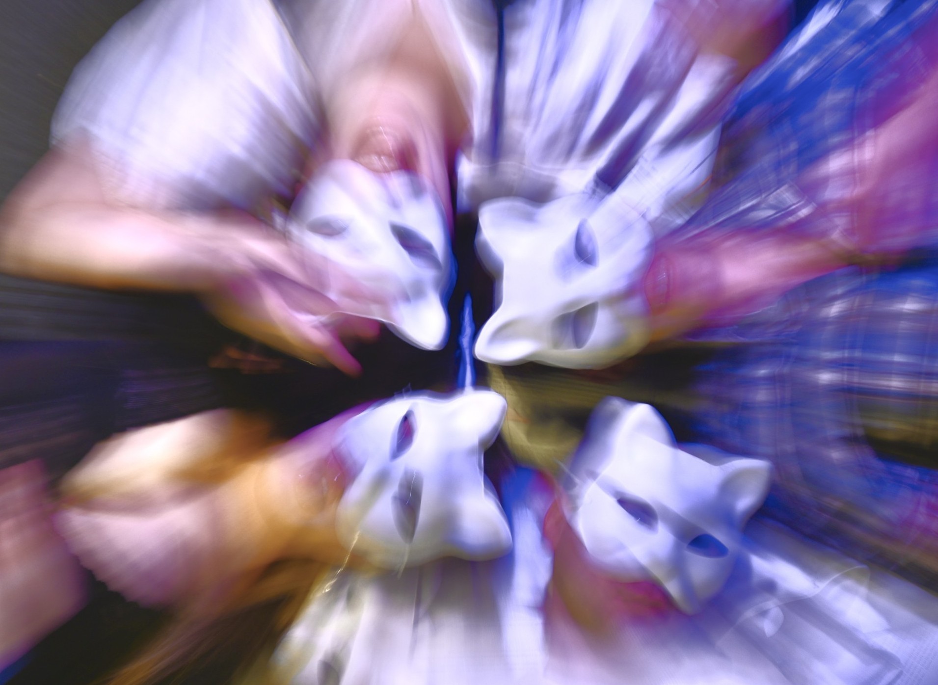 «Cat A Strophe» του Yoel Wulfhart στο «THEATRE OF THE NO»