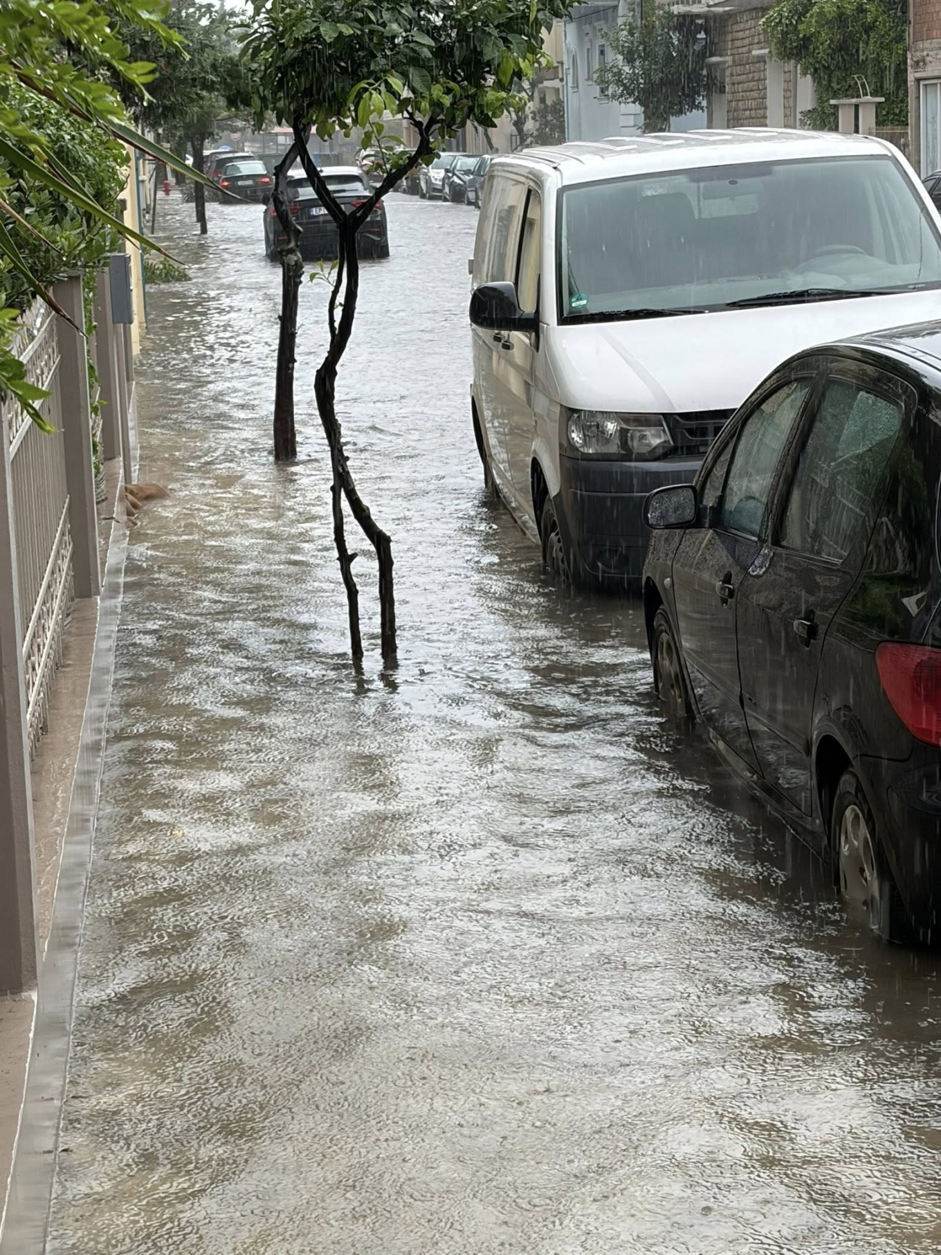 Μεσολόγγι: Μεγάλα προβλήματα από την έντονη βροχόπτωση