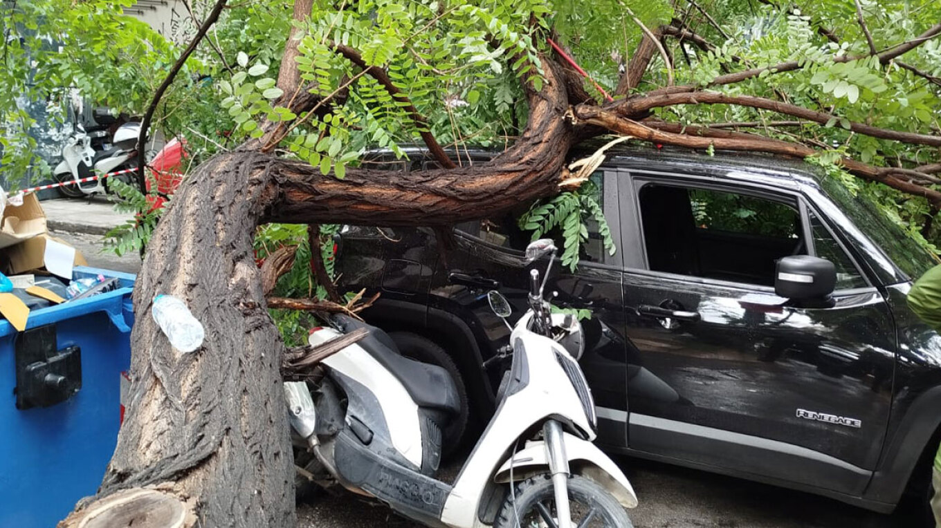 πτώση δέντρου Αθήνα