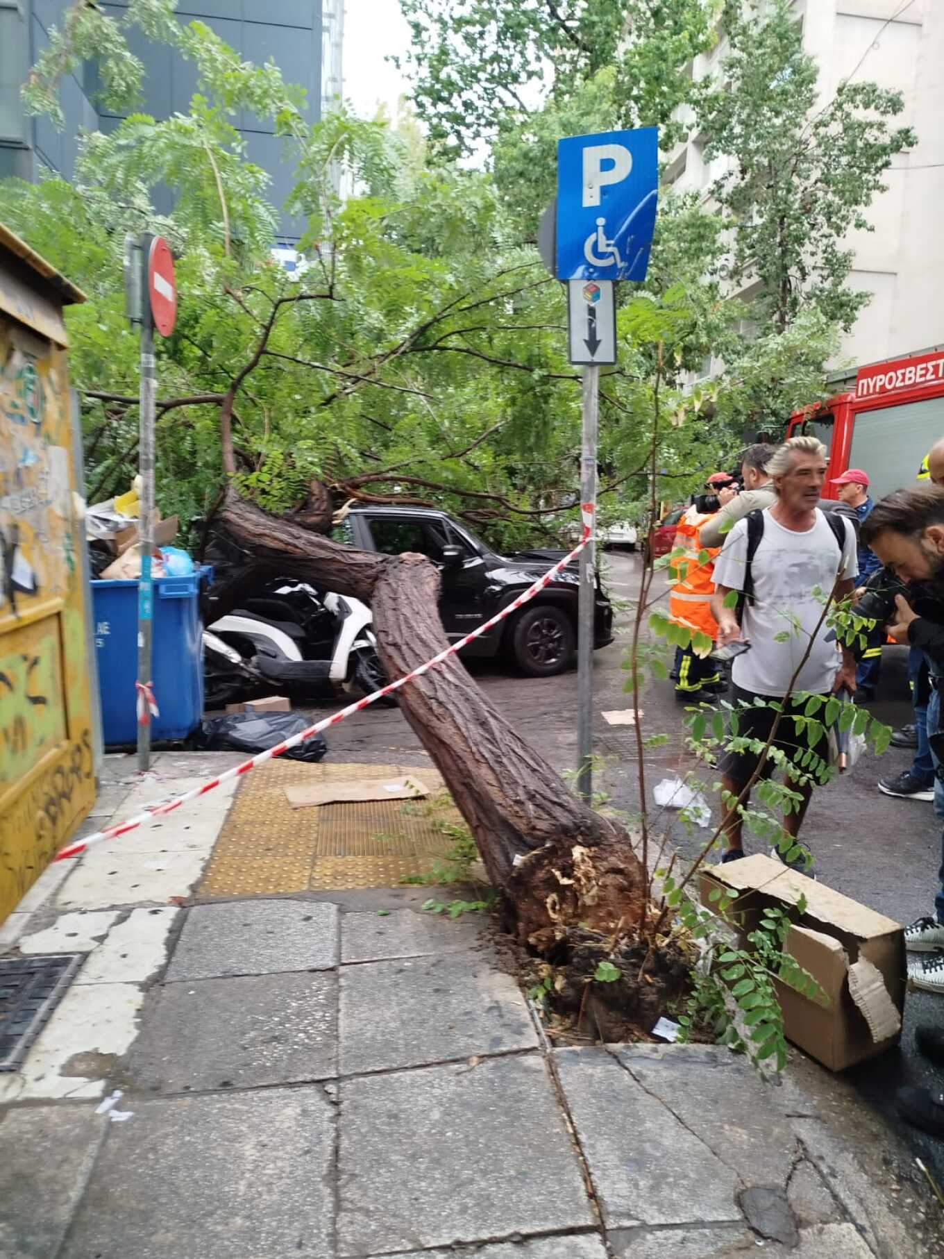 πτώση δέντρου Αθήνα