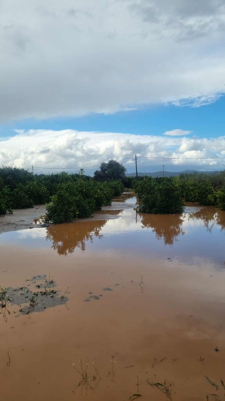 Λακωνία: Η λάσπη «κατάπιε» αυτοκίνητο, κινδύνευσε ο οδηγός  – Ζημιές σε καλλιέργειες (Photos)