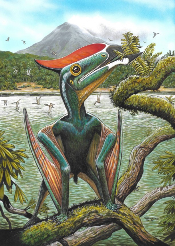 Ομάδα παλαιοντολόγων από την Κίνα και τη Βραζιλία ανακοίνωσε ότι βρήκαν συνολικά 320 φυτολίθους, μέσα στο απολιθωμένο στομάχι ενός πτερόσαυρου του είδους Sinopterus atavismus. Μία από τις πιο αινιγματικές πτυχές των πτερόσαυρων αφορά τη διατροφή τους, η οποία παραμένει ελλιπώς κατανοητή. Έχουν προταθεί διάφορες υποθέσεις για τις διατροφικές τους συνήθειες, όπως εντομοφαγία, σαρκοφαγία, ιχθυοφαγία, δυροφογία (κατανάλωση σκληρών τροφών), φυτοφαγία/καρποφαγία, φίλτρο-τροφοδοσία και γενικευμένες δίαιτες. Όμως, 