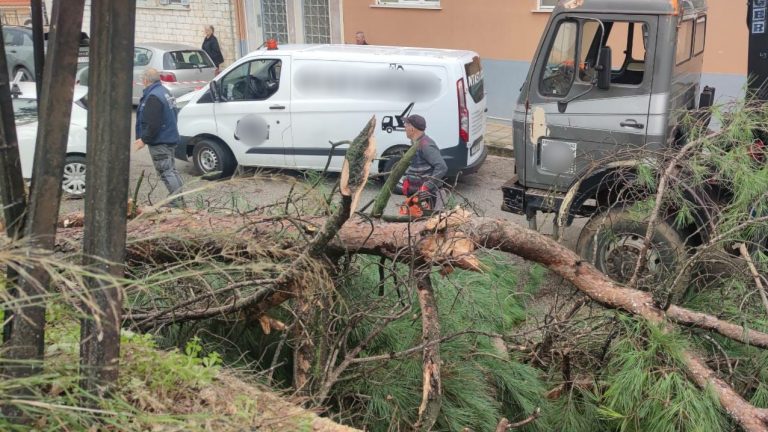Ιωάννινα: Δέντρο ξεριζώθηκε και κατέληξε σε γήπεδο σχολείου