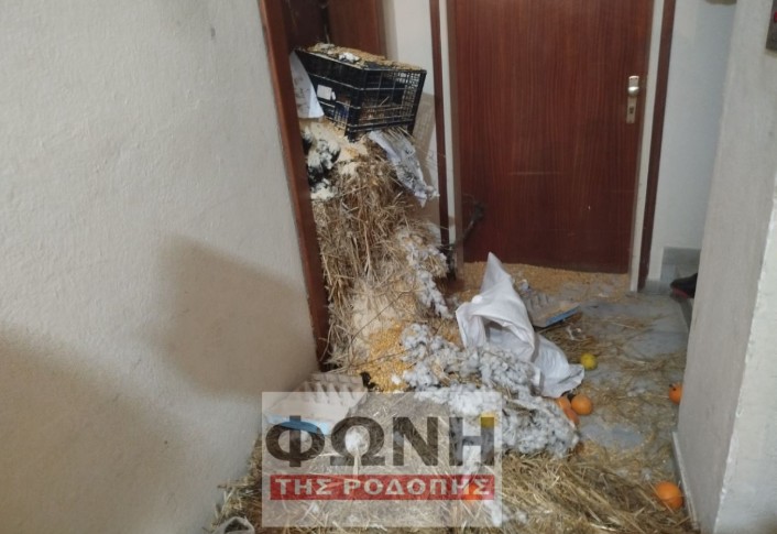 Κομοτηνή: Αγρότες έριξαν κοπριά, άχυρα και σιτάρι και έξω από το γραφείο του Ευριπίδη Στυλιανίδη 