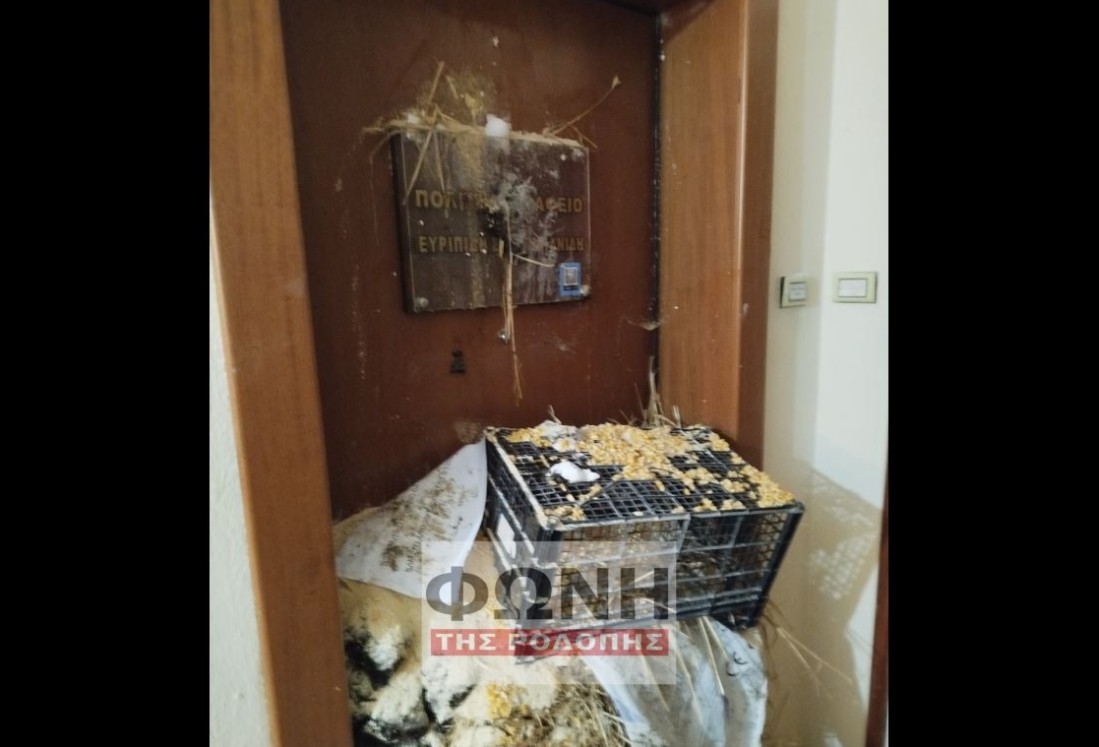 Κομοτηνή: Αγρότες έριξαν κοπριά, άχυρα και σιτάρι και έξω από το γραφείο του Ευριπίδη Στυλιανίδη 