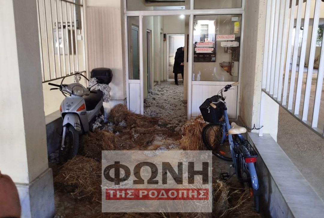 Κομοτηνή: Αγρότες έριξαν κοπριά, άχυρα και σιτάρι και έξω από το γραφείο του Ευριπίδη Στυλιανίδη 