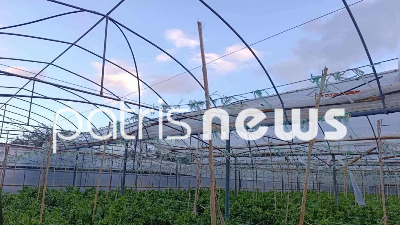 εκτεταμένες ζημιές σε θερμοκήπια