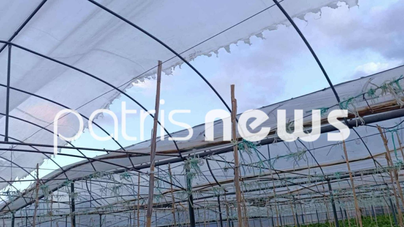 εκτεταμένες ζημιές σε θερμοκήπια