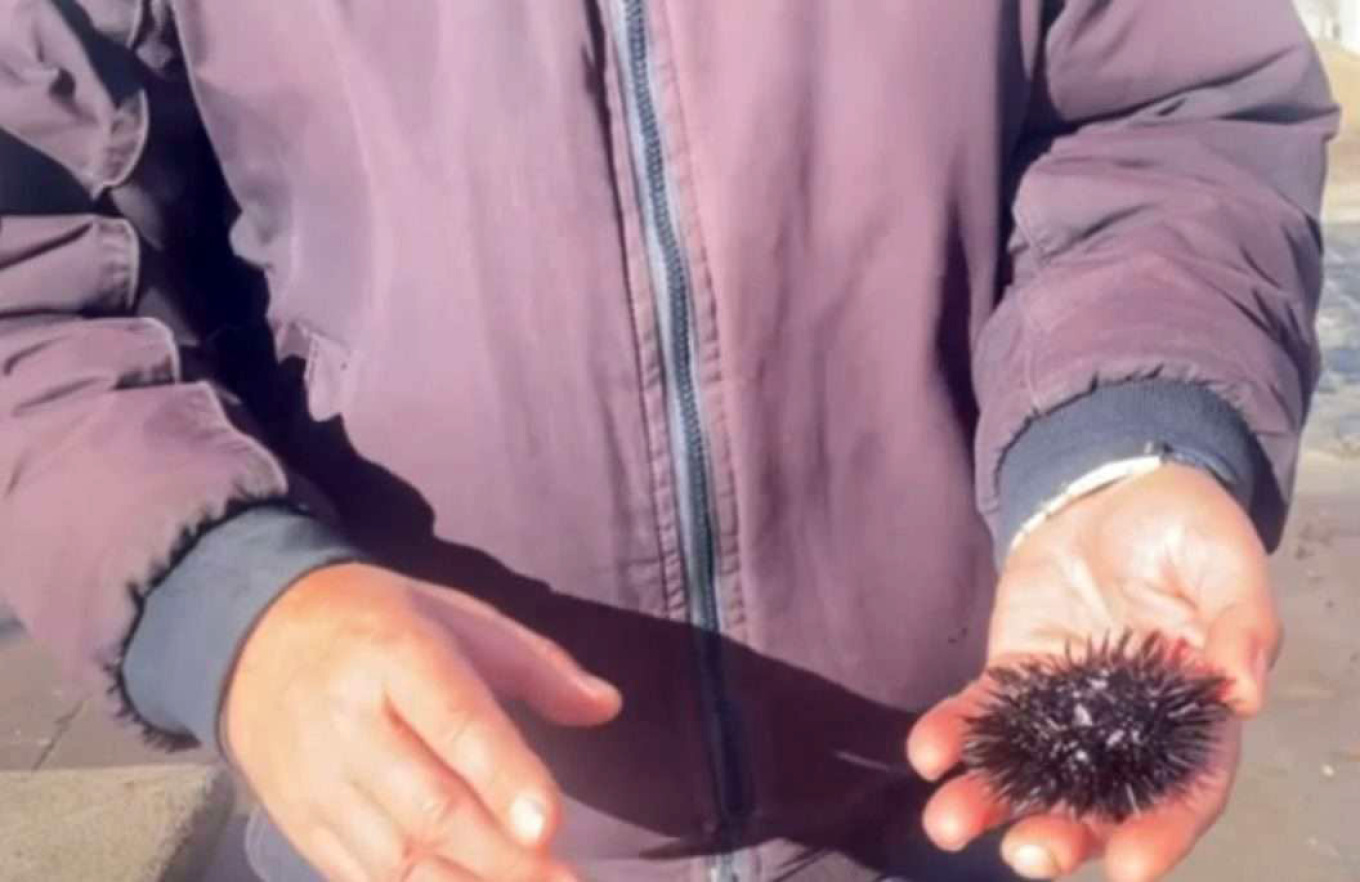  Λήμνος: Βγήκε η θάλασσα στον δρόμο στη Μύρινα