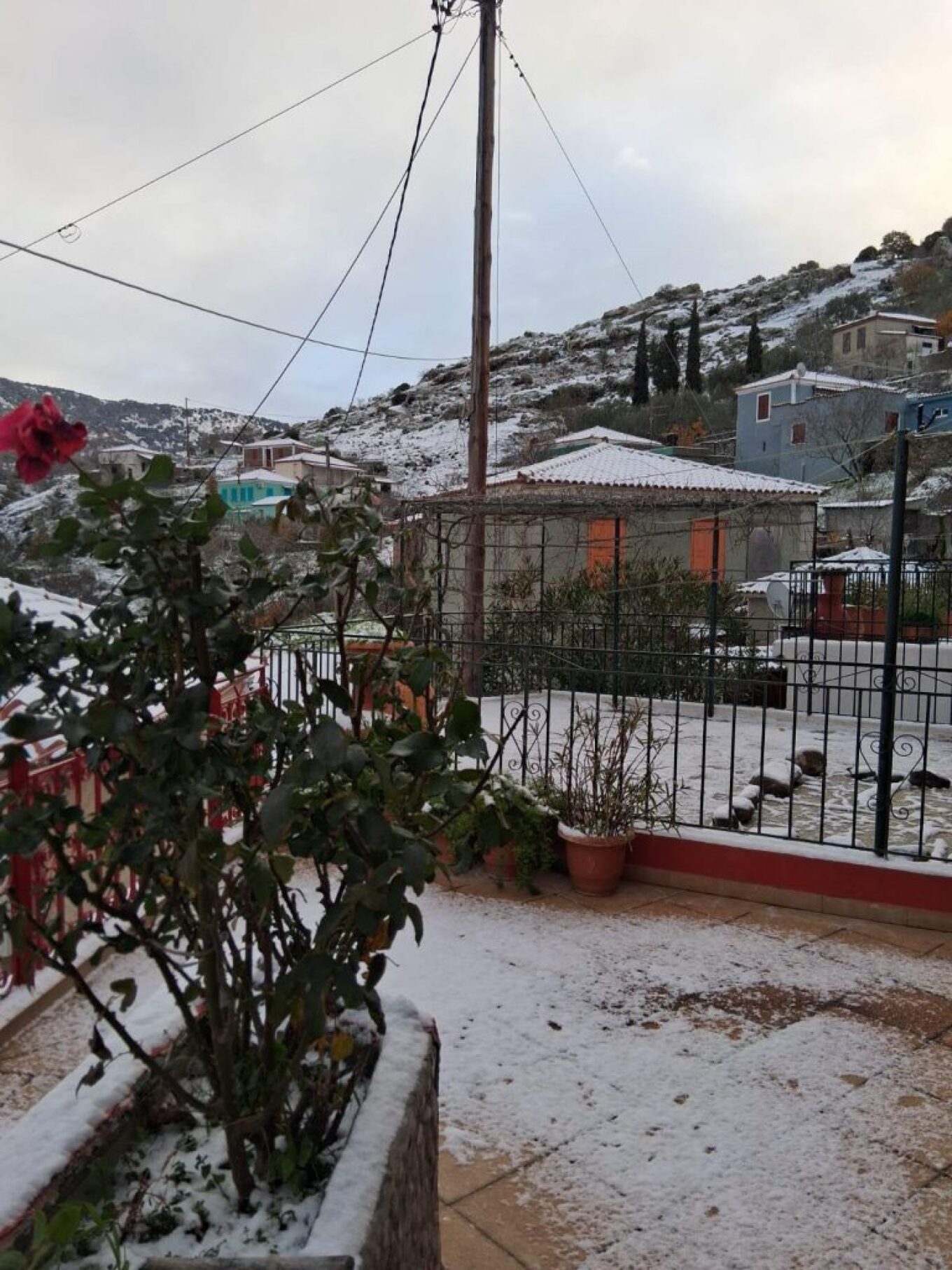 Στα λευκά τα ορεινά της Λέσβου και περιοχές της Λήμνου